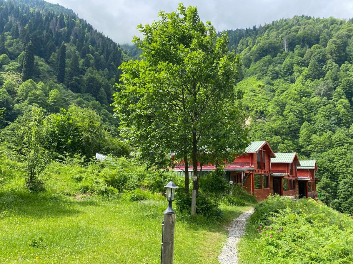 Ayder Villa Gencal Exterior foto