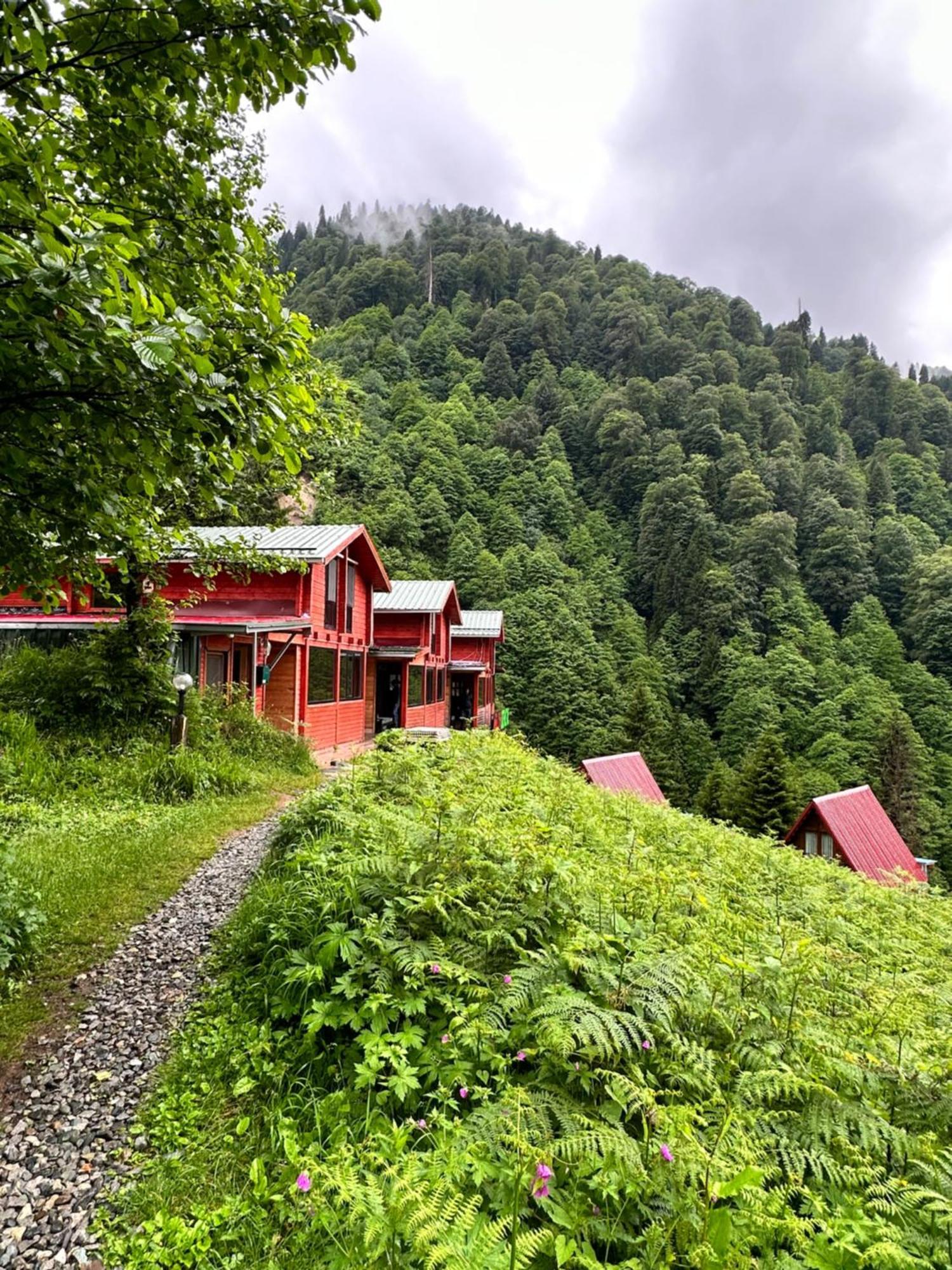 Ayder Villa Gencal Exterior foto